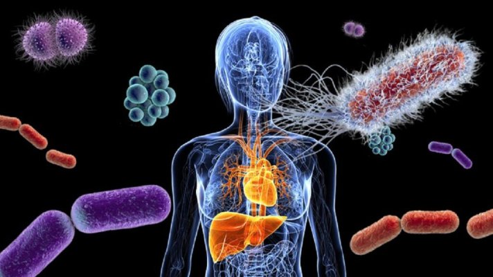 Ce dorințe influențează microbii din intestin. Studiul care răstoarnă tot ce se știai