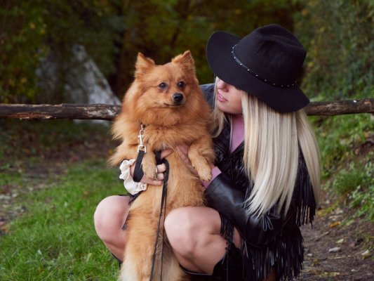 Drepturile și obligațiile legale ale deținătoriilor de animale de companie