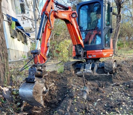 Verde pentru un oraș curat: Constanța își înnoiește spațiile verzi!