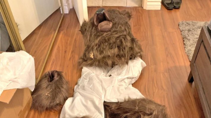 S-au costumat în urşi şi au distrus maşini de lux ca să păcălească firmele de asigurări