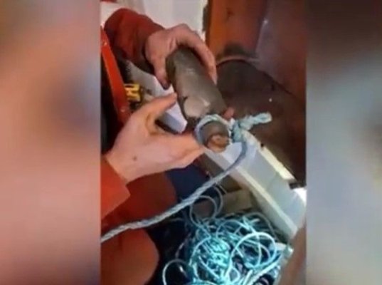 Un mesaj emoționant ascuns într-o sticlă a fost găsit în interiorul unui far. Video