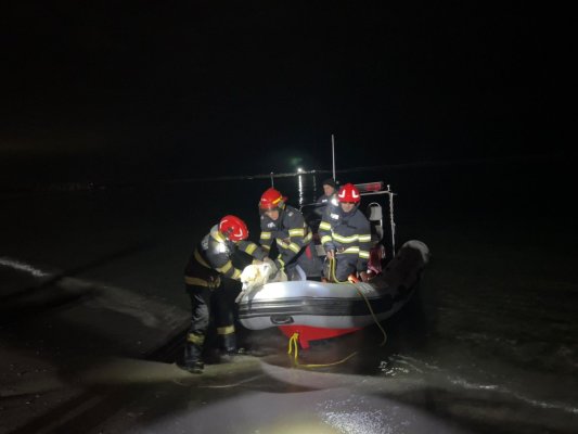 Câine salvat de pompieri din apele mării, în zona plajei Malibu. Video