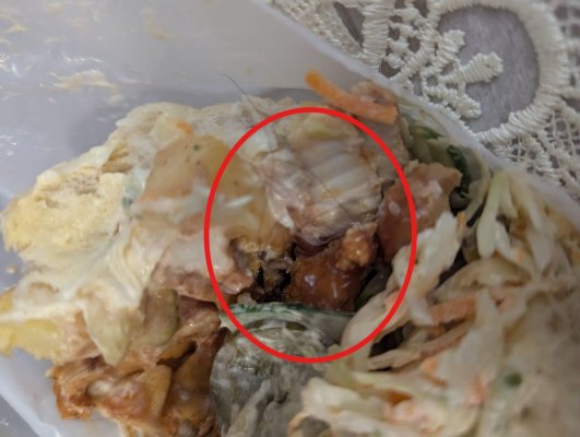 La un fast food din Năvodari, kebab-ul se vinde cu fire de păr... cadou