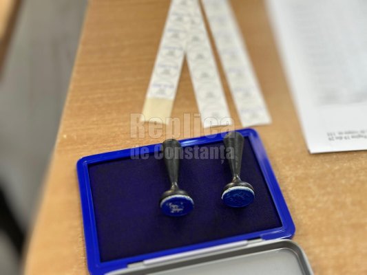 Prezența la vot în Diaspora a depășit numărul total de votanți din primul tur de prezidențiale din 2019