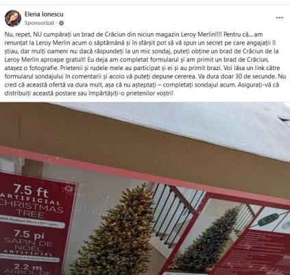 Ofertă de sezon! Escrocherie organizată în numele Leroy Merlin. Brazi de Crăciun la 9 lei!