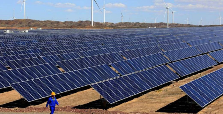 Investitorii în energie verde au scos peste 11.100 de hectare de teren din circuitul agricol