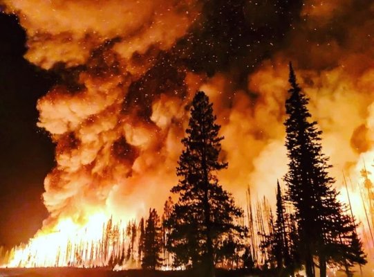 Aerul poluat de incendii este asociat cu 1,5 milioane de decese pe an la nivel mondial