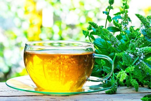Ceaiul care conferă energie. Conține o singură plantă care crește în toate grădinile