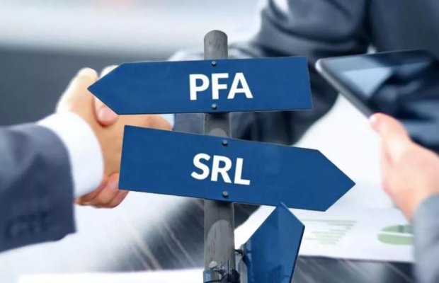 Legea prin care PFA-urile puteau deveni SRL-uri, declarată neconstituţională