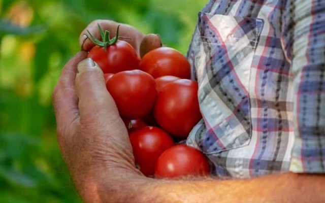 Fermierii care își vând produsele la poartă vor fi obligați să se înregistreze la DSV