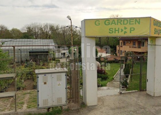 Garden Shop Services, fosta Pomacost, nu mai are acces la achizițiile din Portul Constanța