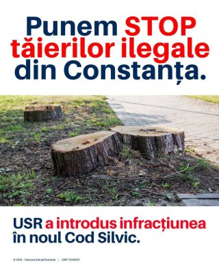 USR a introdus un amendament în noul Cod Silvic: tăierile ilegale de pomi din mediul urban vor putea deveni infracțiuni 