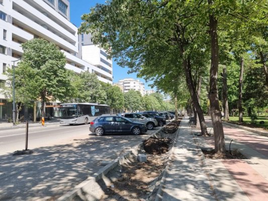 Proiectul Primăriei Constanța, privind amenajarea de locuri de parcare și spații verzi pe bulevardul Lăpușneanu, în atenția Agenției de Mediu