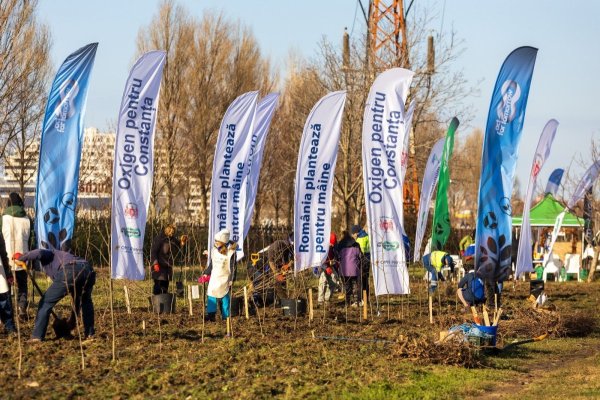 Constanța își mărește spațiile verzi. 21.000 de arbori și arbuști plantați de voluntari