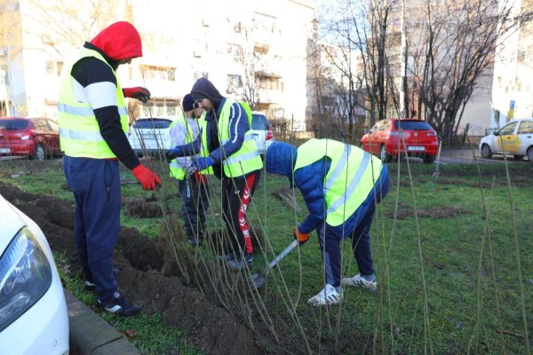 Constanța înverzește! Campania de refacere a spațiilor verzi continuă