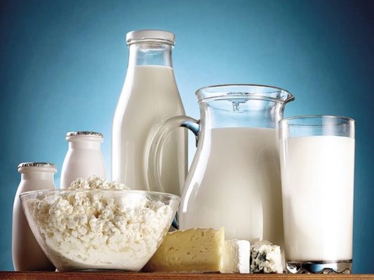 Un producător de lactate propune crearea unui `Farmer Mac` românesc, după modelul american
