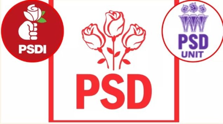 Ce sunt, de fapt, clonele PSD. Au reușit să ia peste 200 de mii de voturi