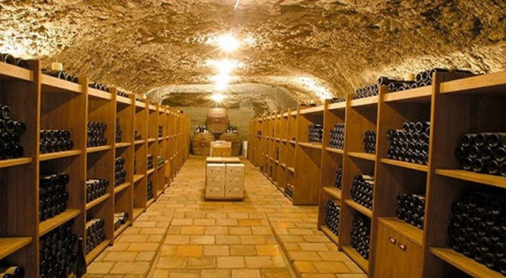 60 de hectare de vie dintre Murfatlar și Poarta Albă, scoase la licitație pe... doi lei, de lichidatori! 