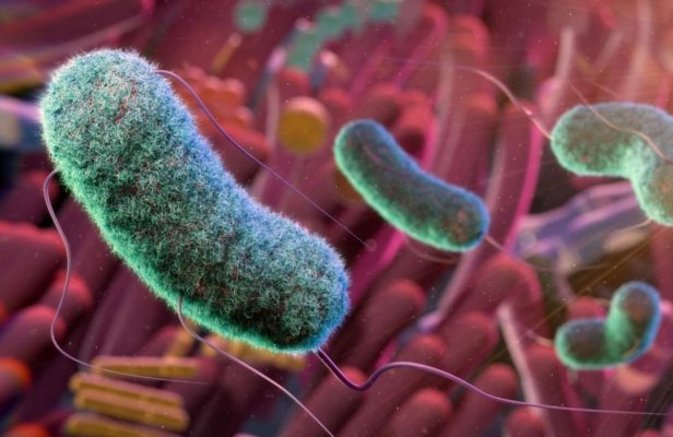 Zeci de savanți cer interzicerea cercetărilor cu molecule inversate, care ar putea distruge umanitatea