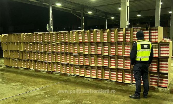 Zeci de mii de pachete cu țigări, descoperite ascunse într-un camion cu varză. Video
