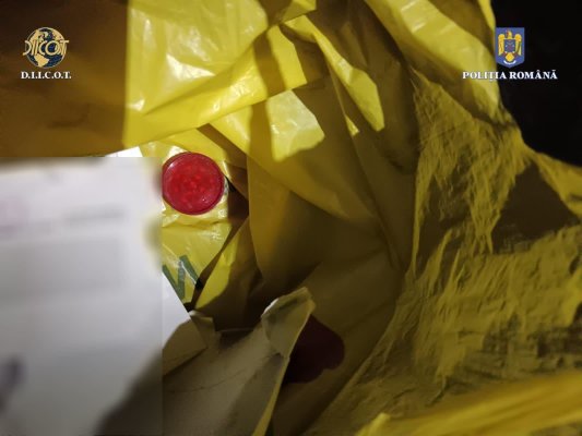 Tineri cercetați pentru introducerea în țară de droguri de risc și trafic de droguri de risc