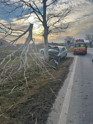 Accident în Tulcea! Un autovehicul s-a izbit de un copac