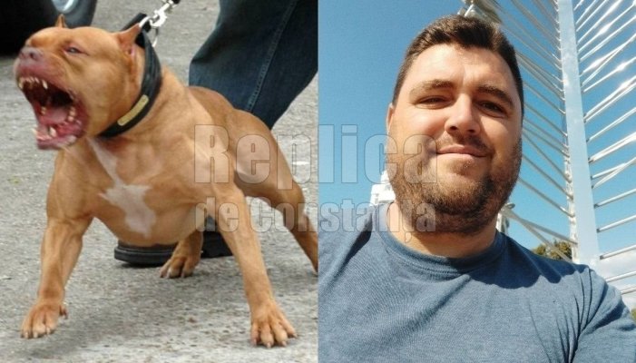 BOMBĂ! Probele din rechizitoriul militarului din Constanța, cercetat penal după ce a ucis un câine, au fost administrate nelegal