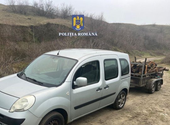 Doi bărbați, prinși în timp ce furau lemne, în Gârliciu