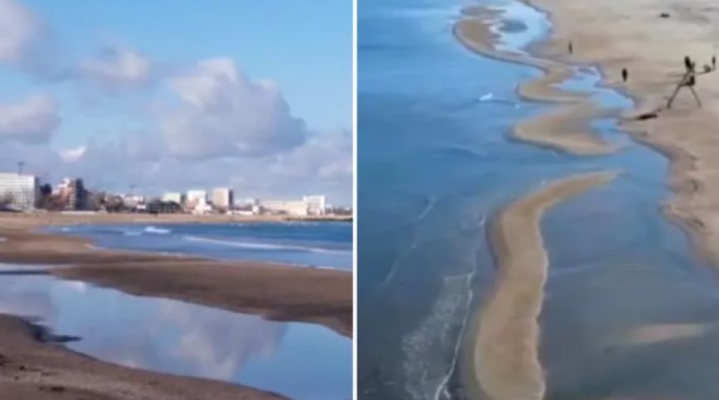 Dezastrul ecologic de la Marea Neagră se extinde: pata de petrol a ajuns pe coasta Mării Azov
