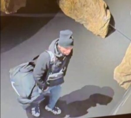  Primele imagini cu unul dintre hoții care au furat tezaurul dacic de la Muzeul Drents din Olanda. Video