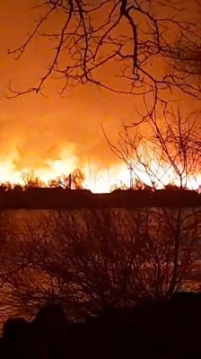 Puternic incendiu de vegetație în Delta Dunării 