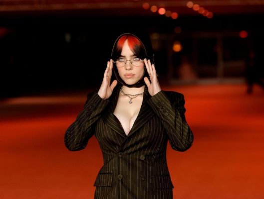 Lady Gaga, Billie Eilish și Red Hot Chili Peppers, capete de afiș la concertul caritabil FireAid