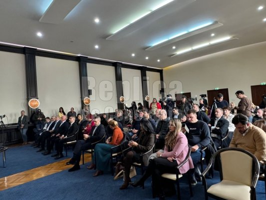 Consilierii județeni, convocați în ședință de Florin Mitroi! Video