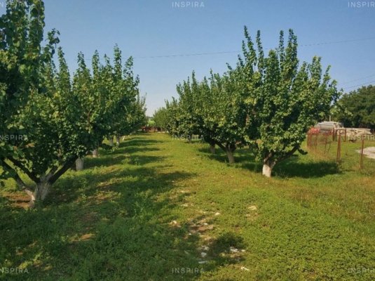 Turcia bagă 5,3 miliarde de dolari în agricultură
