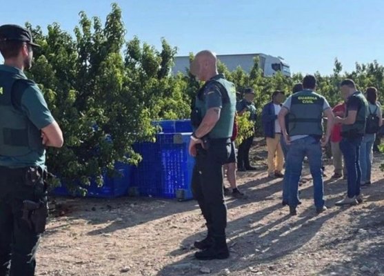 Peste 50 de români, folosiți ca sclavi și bătuți de propriii lor compatrioți, pe o plantație din Spania