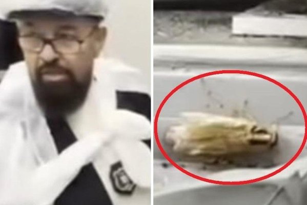 Peste 10 restaurante din Sun Plaza şi hipermarketul au fost închise, după ce au fost găsiți gândaci în mâncare