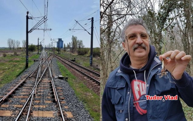 Fostul director al CFR a mai prins un tren spre Portul Constanța!
