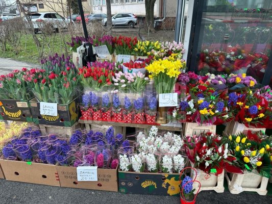 Florăresele au scăpat de ANAF și anul ăsta. Vând, în continuare, flori fără bon fiscal!