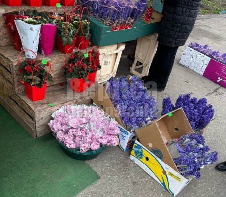 România, lider în comenzile de flori de Ziua Femeii