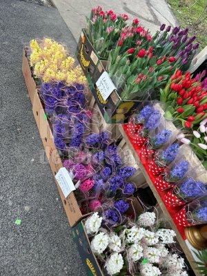 Piața florilor din România ar putea atinge vânzări de peste 32,5 milioane de euro în perioada 1 – 8 martie