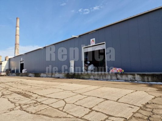 Patronul Alfa Beta intră în sfârșit în legalitate cu hala din Zona Industrială
