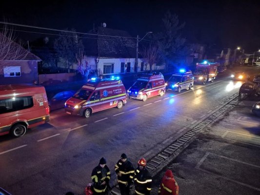 Brânza servită la Balul Însuraților din Reghin, contaminată cu stafilococ coagulazo-pozitiv