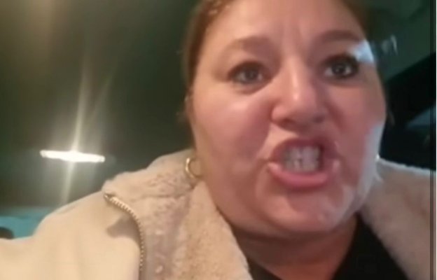 Diana Șoșoacă: Hai proștilor, inculților, analfabeților, incompetenților, mai faceți un dosar