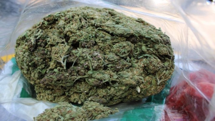 România refuză canabisul medicinal: De ce bolnavii de cancer nu beneficiază de tratamentele care salvează vieți în alte țări