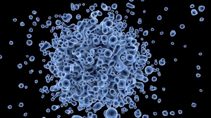 A fost descoperit un nou coronavirus: se transmite la om de la lilieci