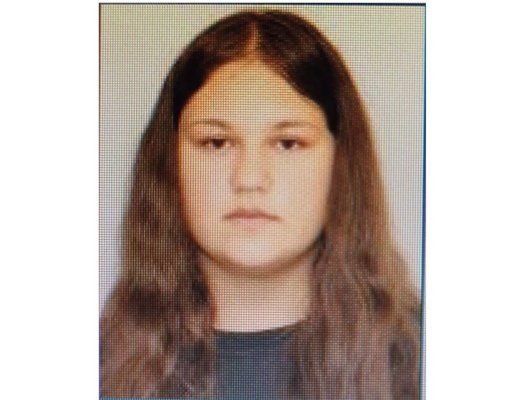 Alertă! O minoră de 14 ani din Tulcea a dispărut după ce a plecat de la școală