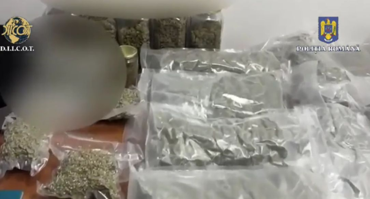 Peste 12 kilograme de canabis, capturate de polițiști și procurori. Video