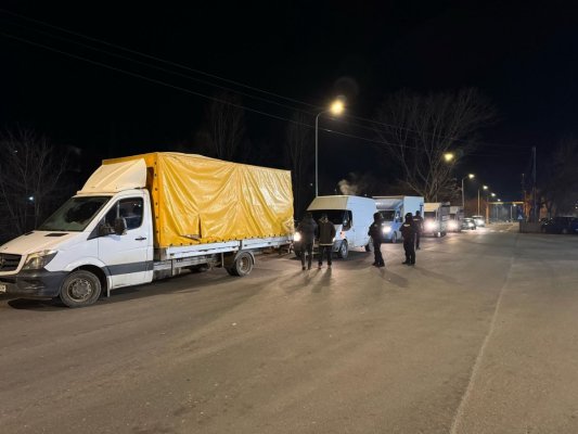 Polițiștii din Tulcea au descins peste comercianții și transportatorii neautorizați de animale 