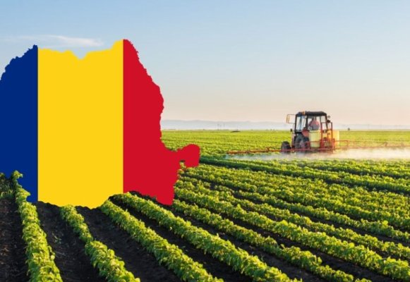 Mai multe ferme agricole din județul Constanța au fost scoase la vânzare 