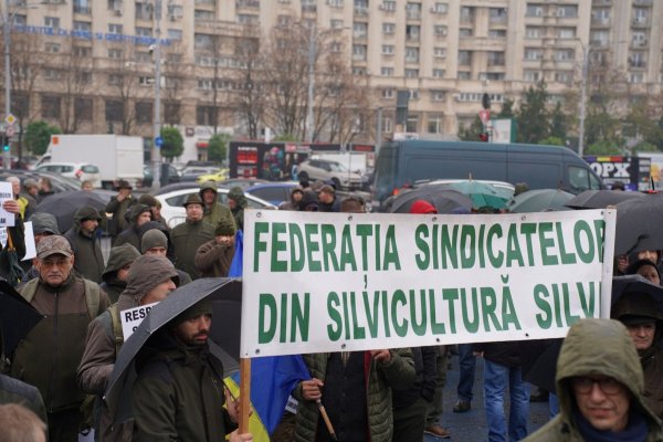 Silvicultorii amenință cu greva generală dacă nu le sunt soluţionate revendicările. Care sunt cerințele lor  